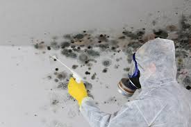 Best Mold Odor Removal Services  in Geneva, AL